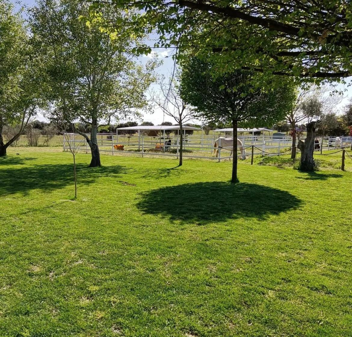 Casa Rural Granja Abril Cardiel de los Montes Dış mekan fotoğraf